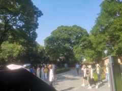 -延安杨家岭革命旧址