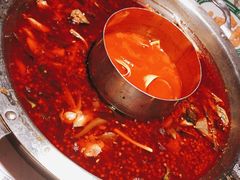 -蜀滋香鲜鱼美蛙火锅(339店)