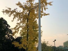 -四川大学(望江校区)