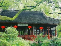 -上海醉白池公园