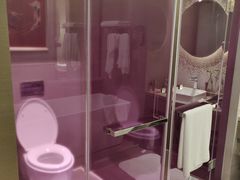 -南京禄口机场雅高铂尔曼大酒店