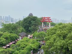 -黄鹤楼公园(黄鹤楼)