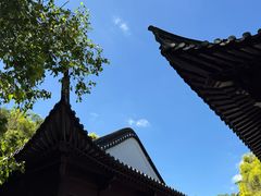 -深圳国际园林花卉博览园