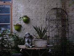 -Jo's Garden