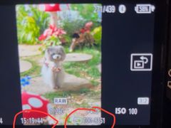 -上海鲜花港