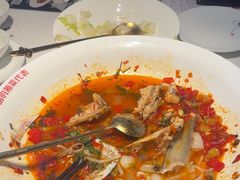 -坛宗剁椒鱼头(河西王府井店)