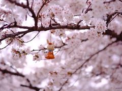 -南京外国语学校(仙林分校西区)