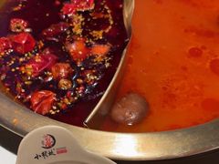 -小龙坎火锅(总店)