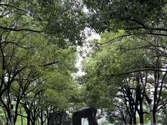 -天鹅湖体育公园