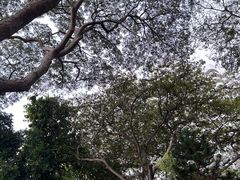 -网红落日悬崖餐厅 The Sky Gallery