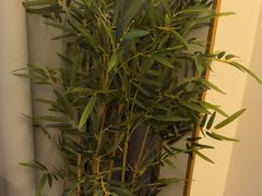 -小隐·采耳头疗spa(环宇城店)