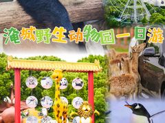 -常州淹城野生动物世界