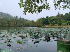 -星湖旅游景区七星岩
