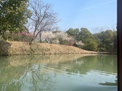 -西溪国家湿地公园