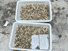 -巧克力渔家.小船海鲜家常菜(三浴场店)