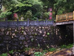 -五龙源极限漂流