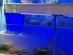 -王捌小院(红花坡店)