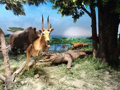 -国家自然博物馆