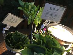 -汤山翠谷生态餐厅