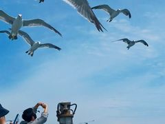 -海驴岛(荣成市)