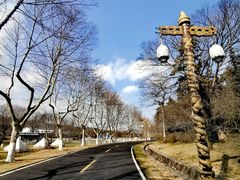 -宜兴龙背山森林公园