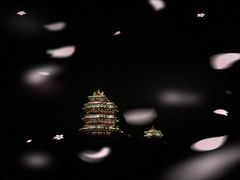 -必胜客(大观天地店)