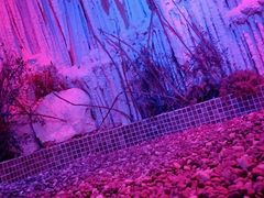 -水晶之星洗浴温泉汗蒸