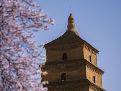 -大慈恩寺(大雁塔)