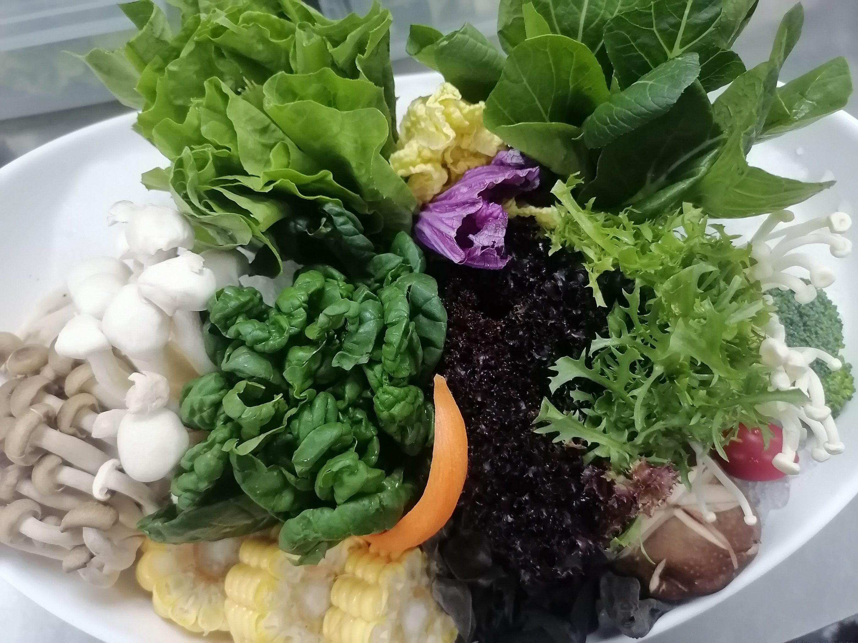 涮羊肉和蔬菜颜值同时在线