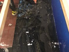 -活鱼馆(宜兴埠店)