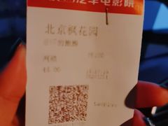 -枫花园汽车电影院(朝阳公园店)