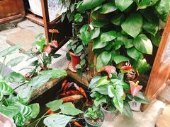 -束河人家(南锣鼓巷店)