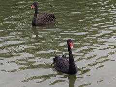 -艾溪湖湿地公园