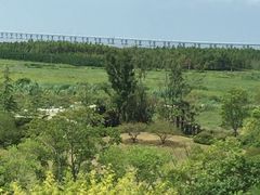 -上海崇明金茂凯悦酒店