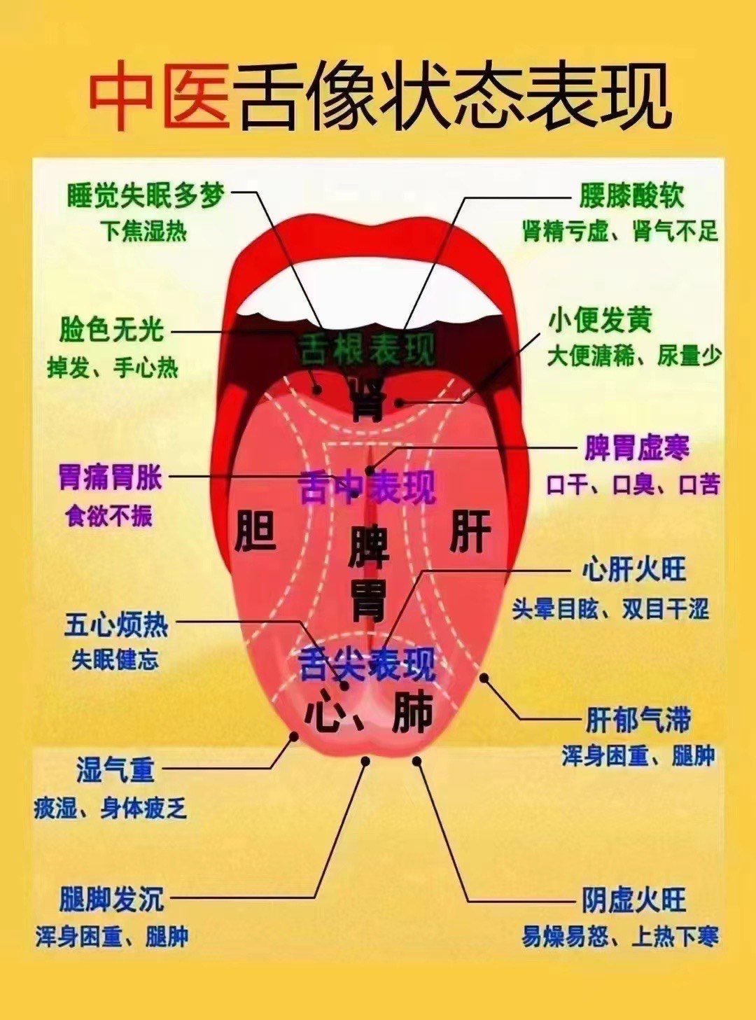 舌头锯齿状是什么原因图片