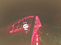 -金鸡山公园
