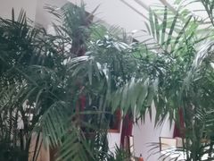-品湘宴·湖南宁乡菜