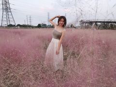 -王借岗森林公园