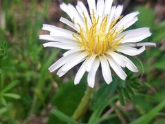 -肯德基(颛桥店)