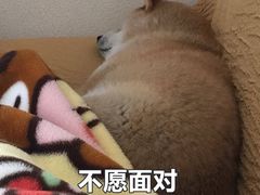 -炉鱼(爱琴海购物公园店)