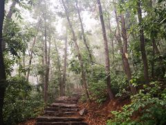 -北京上方山国家森林公园