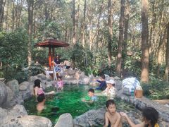 -金方森林温泉