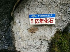 -梦幻奥陶纪景区