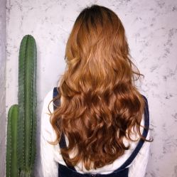 -SALON V