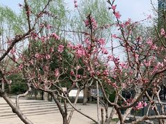 -南长河公园