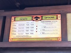 -奥兰多迪士尼动物王国乐园