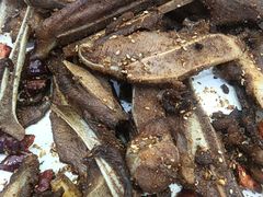 -星海汇海鲜自助烤肉火锅(百大店)