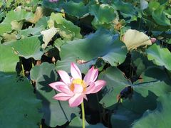 -雪浪山卡丁车俱乐部