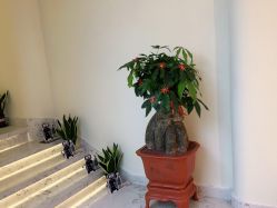 -海涛医疗美容·面部抗衰·注射美鼻