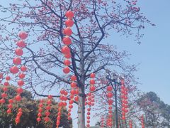 -广州莲花山旅游区